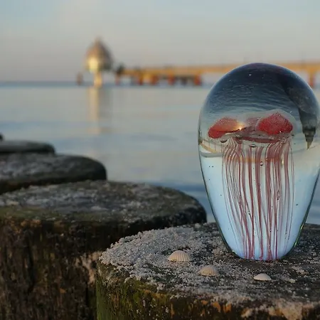 Garni Inselparadies 4* Zingst