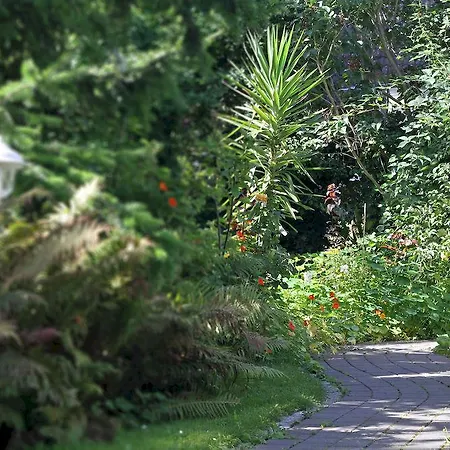 Garni Inselparadies Affittacamere Zingst